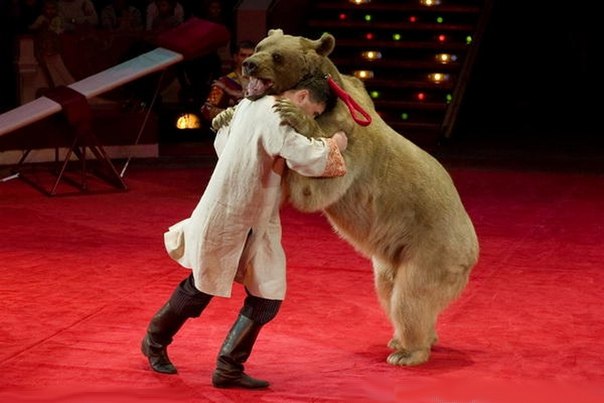 Развлечения на Руси: медвежий бой