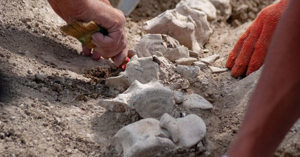 археология, раскопки, находки, Крым, обряд