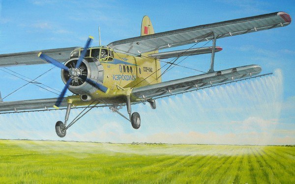10 интересных фактов о «кукурузнике» - легенде советской авиации