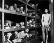 Февраль 45-го: восстание обреченных